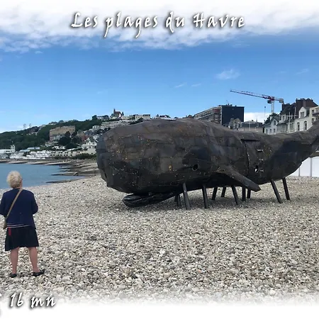 Cocon Perret Aux Plages Du Havre Apartment